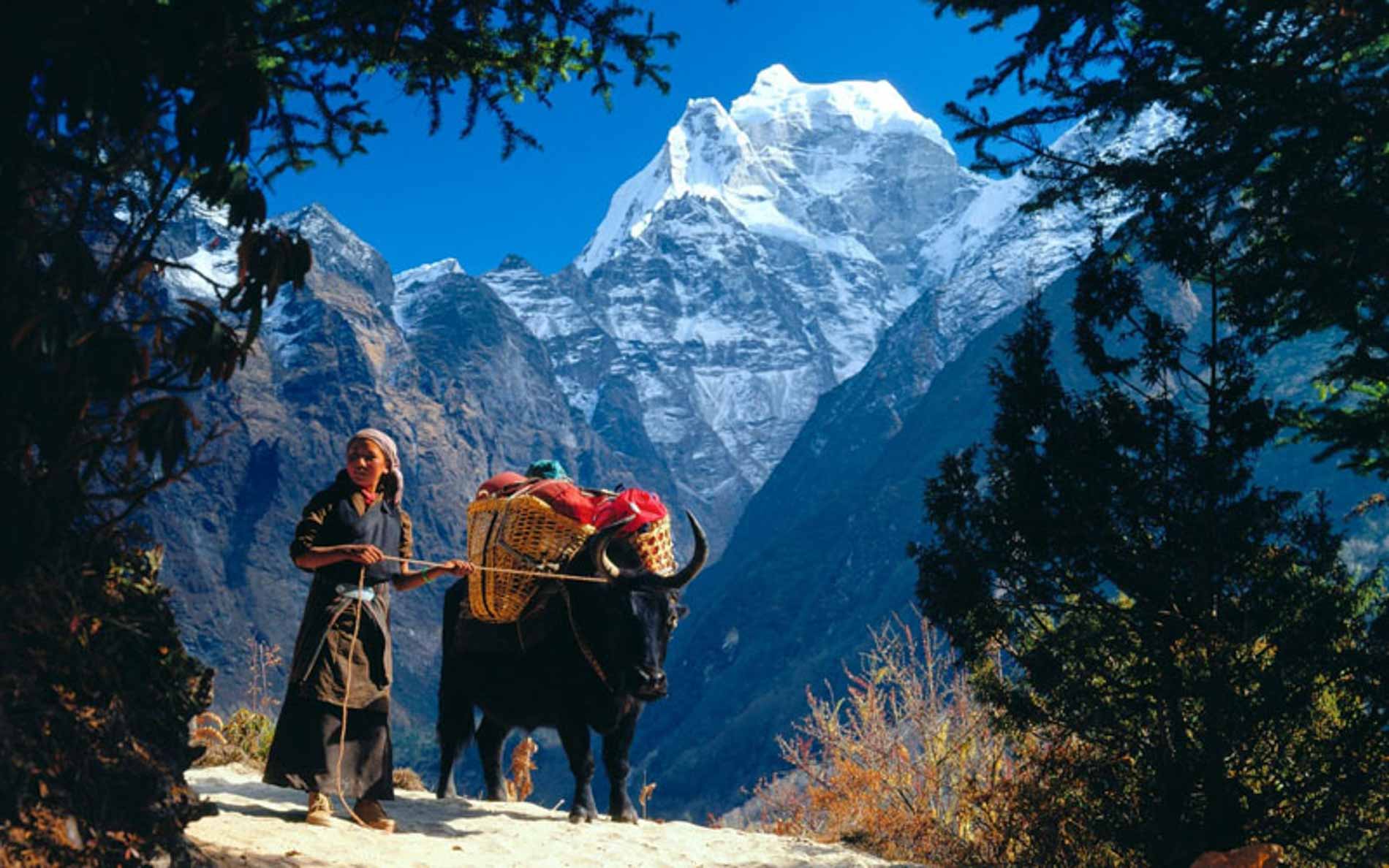 Everest Luxury Lodge Trekking – 14 Days