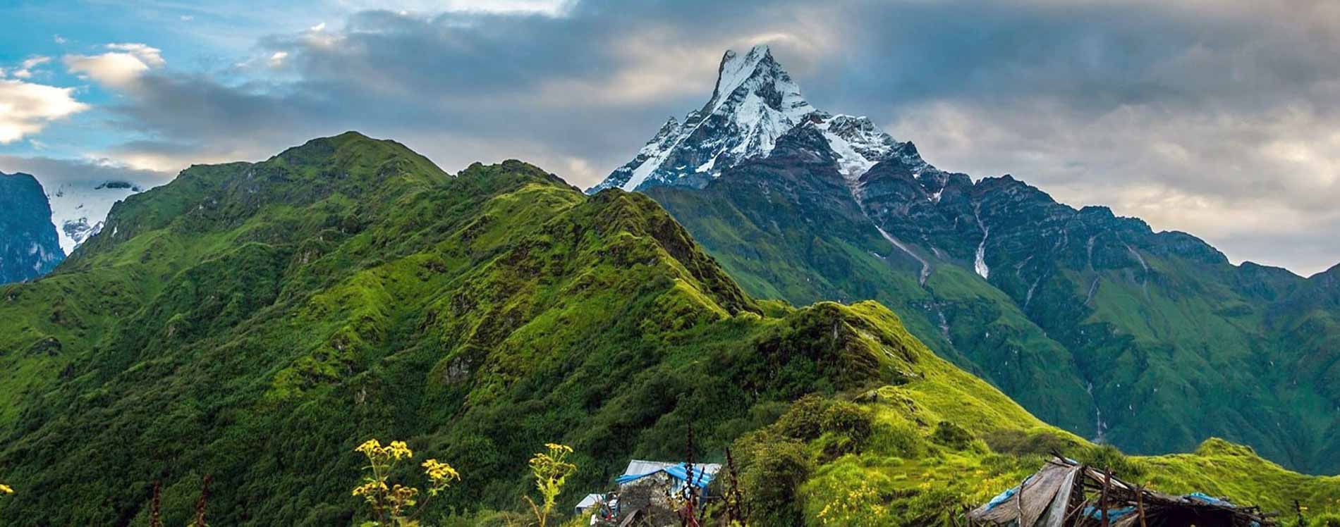 Mardi Himal Trekking – 10 Days